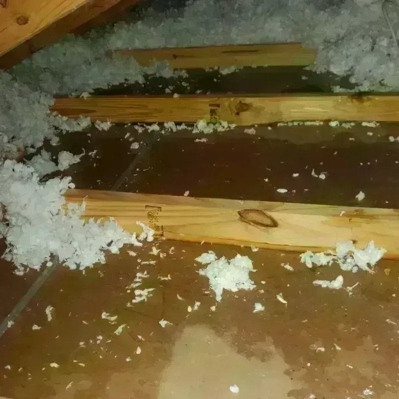 Attic Water Damage in Kalama, WA