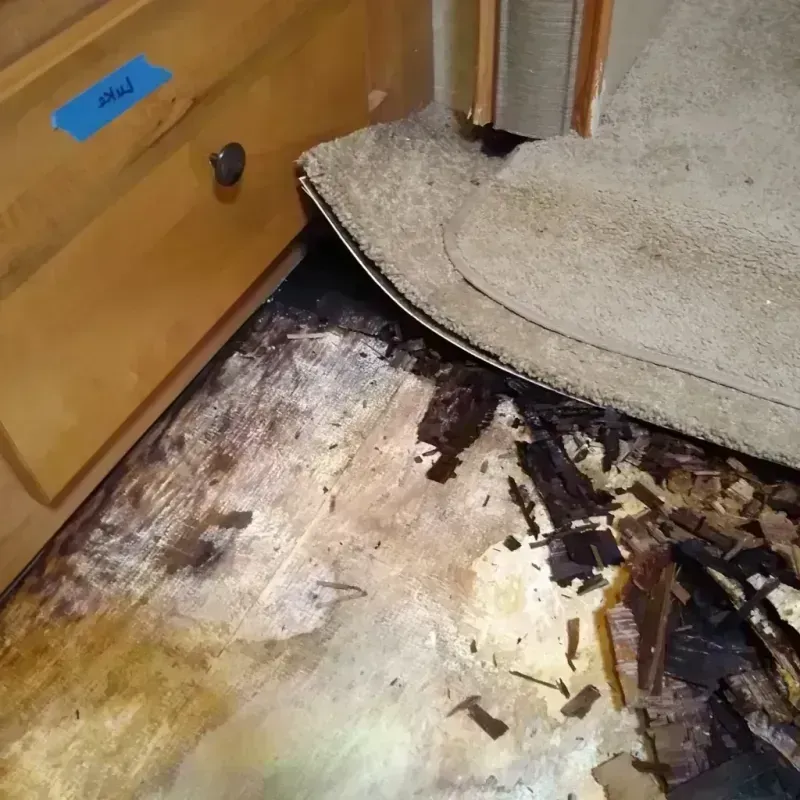 Best Wood Floor Water Damage Service in Kalama, WA